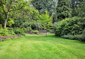 Optimiser l'expérience du jardin à Rougemont-le-Chateau